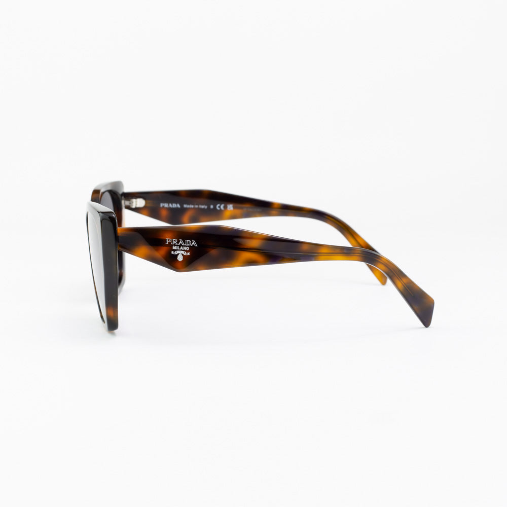 19ZS SOLE