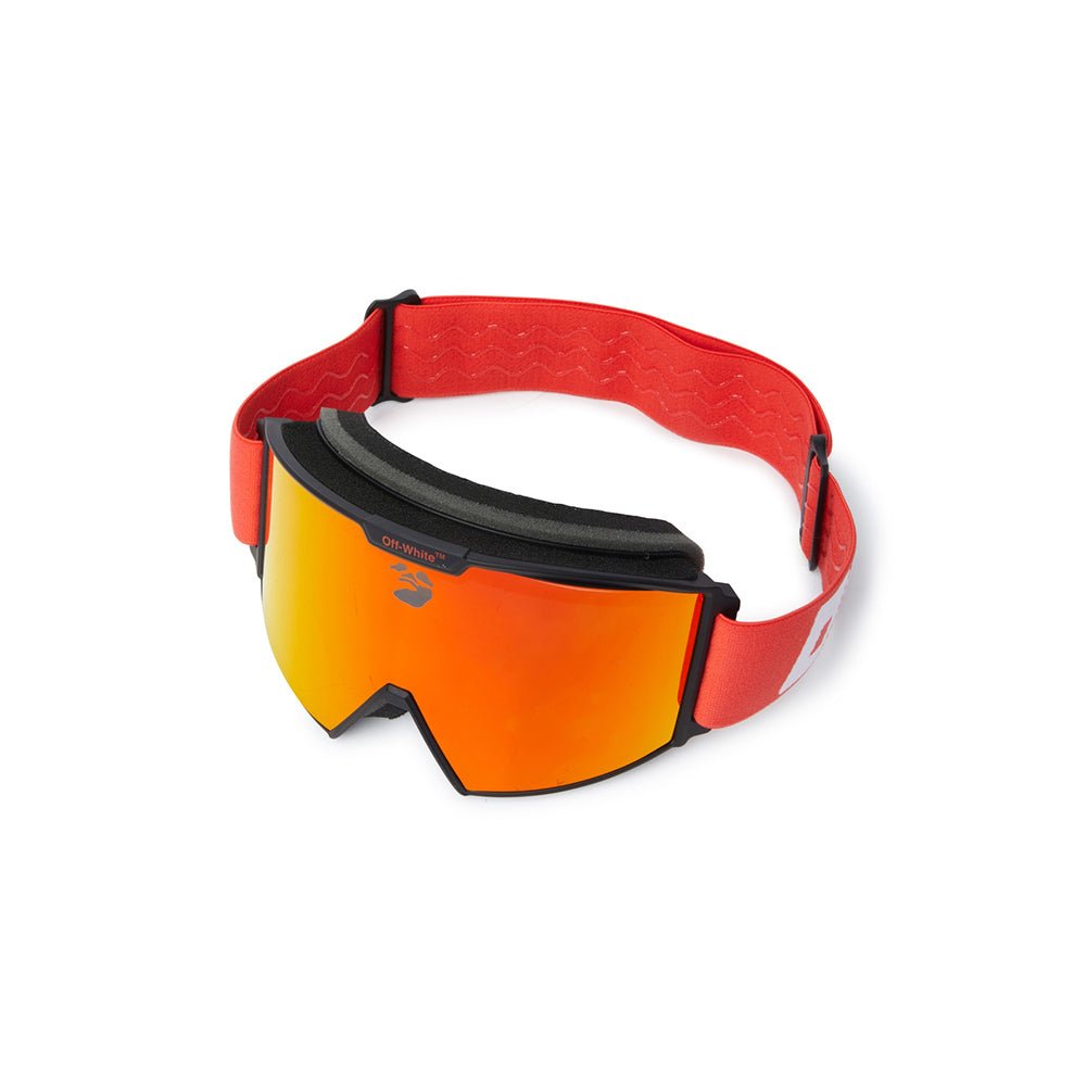 Ski Goggle